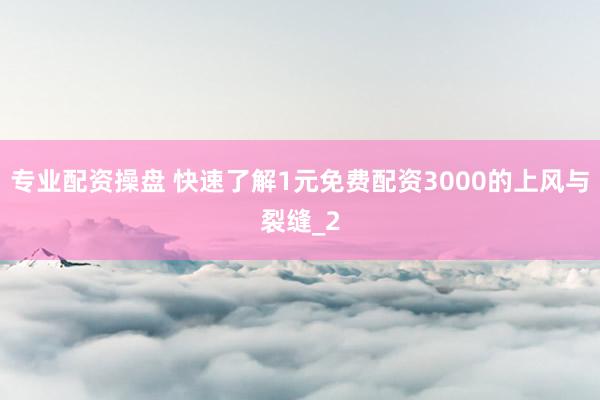 专业配资操盘 快速了解1元免费配资3000的上风与裂缝_2