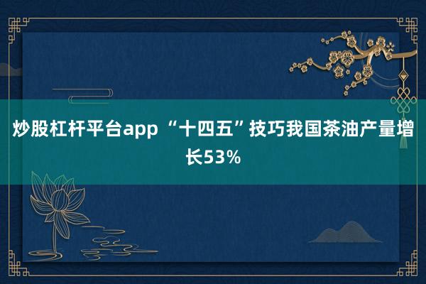 炒股杠杆平台app “十四五”技巧我国茶油产量增长53%