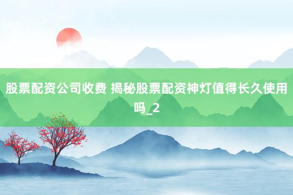 股票配资公司收费 揭秘股票配资神灯值得长久使用吗_2
